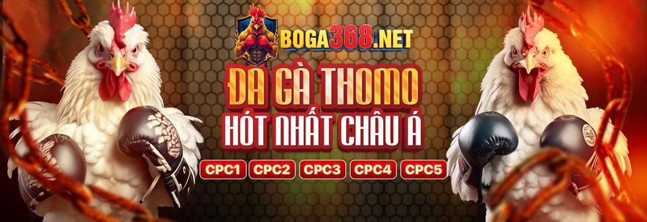 Sân đá gà trực tuyến kịch tính tại viva 88.net